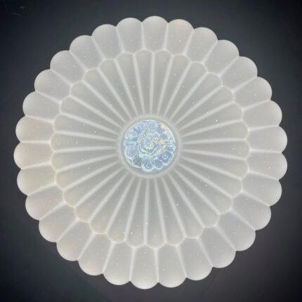 48W 3CCT LED Ceiling (C504)