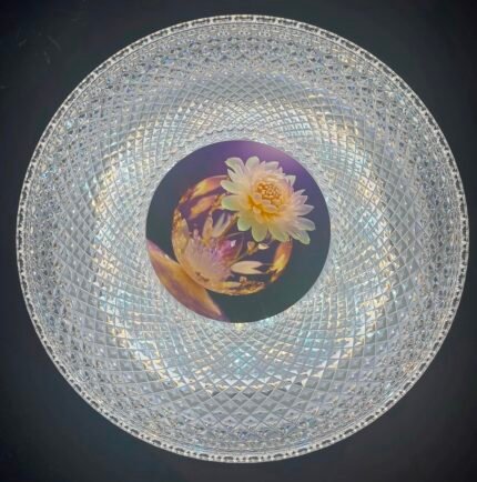 48W 3CCT LED Ceiling (C508)